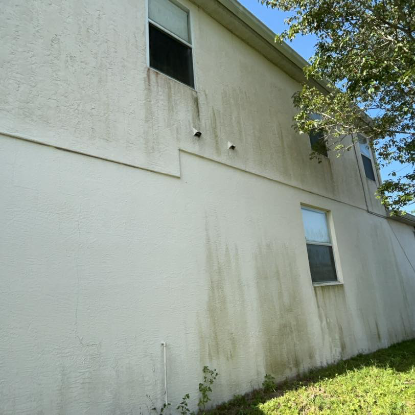 Stucco house wall before — heavy algae streaks