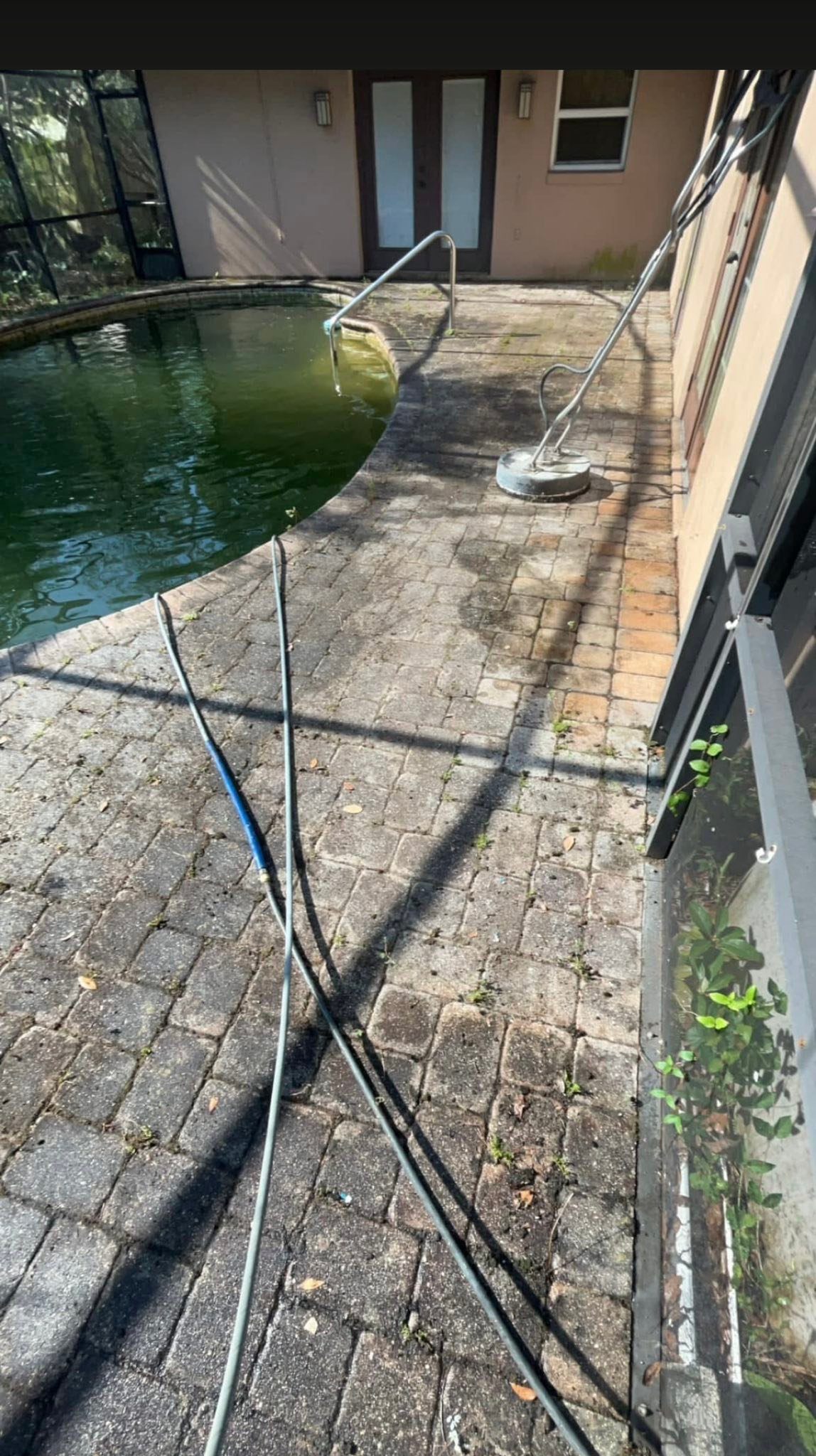 Pool deck before — dirty, mossy pavers
