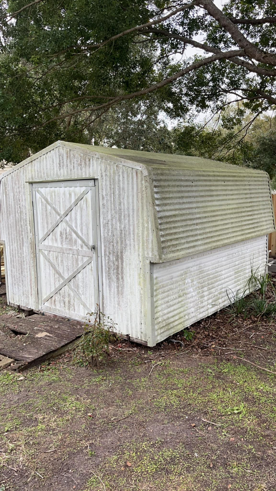 Shed before — green mildew and dirt streaks